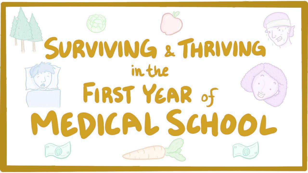 Event thumbnail for the Surviving and Thriving in the First Year of Medical School webinar