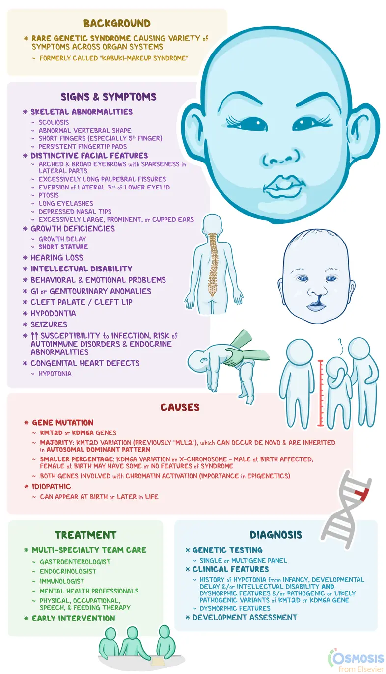 Affected child with arched, broad eyebrows; long palpebral fissures; and long eyelashes.