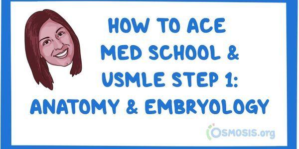 Event thumbnail for the How to Ace Med School and the USMLE: Anatomy and Embryology webinar