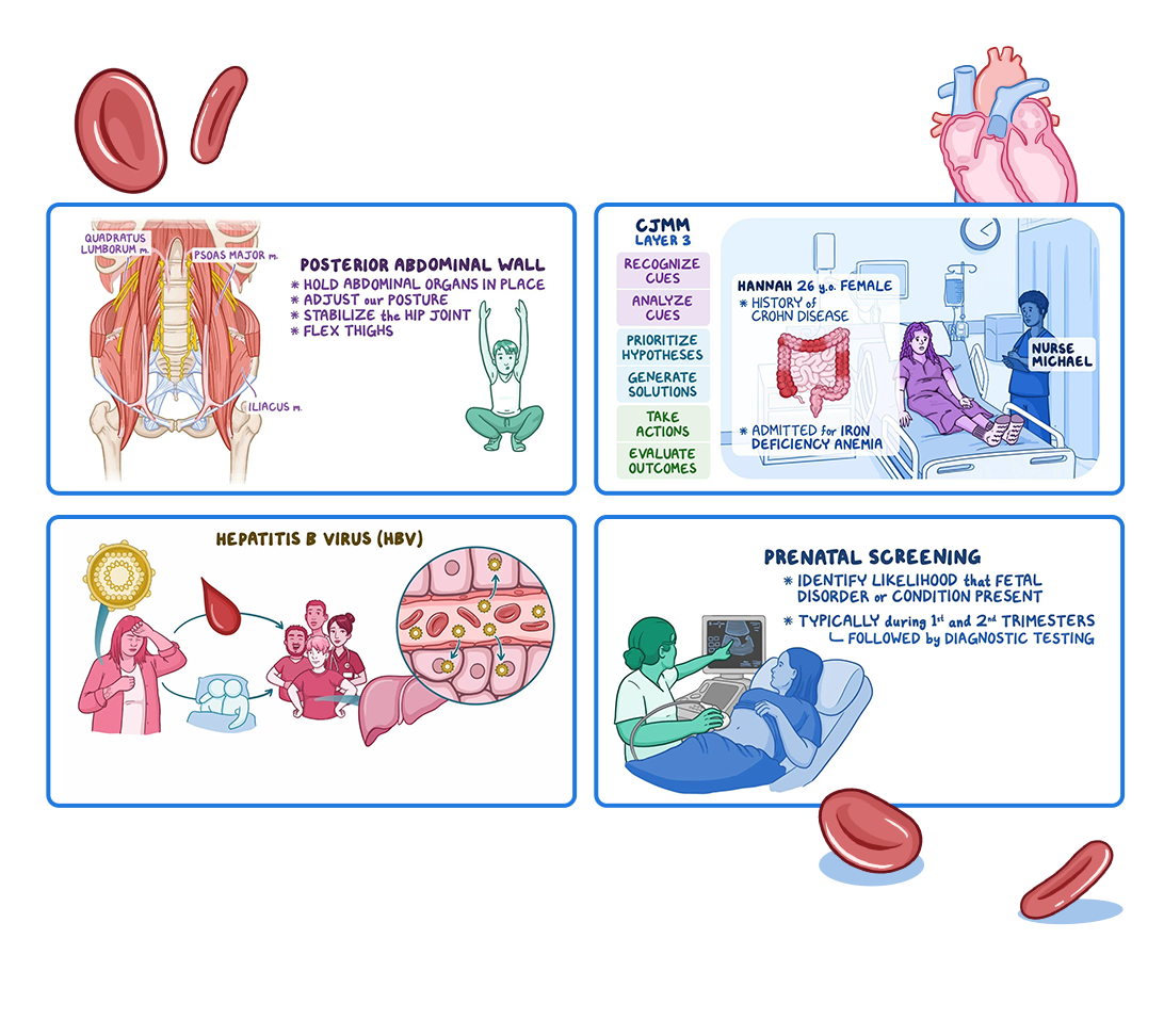 Four Osmosis video screenshots: posterior abdominal wall anatomy, CJMM clinical reasoning framework for Crohn's disease, Hepatitis B virus transmission diagram, and prenatal screening overview.