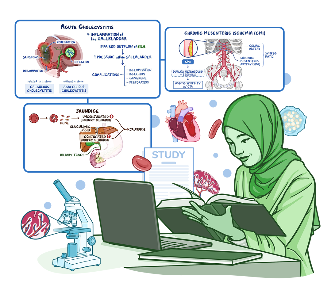 Illustration of a healthcare learner studying with a laptop and open textbook. Surrounding educational diagrams cover acute cholecystitis, chronic mesenteric ischemia, and jaundice, alongside medical imagery including the heart, blood vessels, red blood cells, and a microscope. Notes labeled “Study” and clinical illustrations emphasize self-directed learning and preparation for family medicine or internal medicine certification exams.
